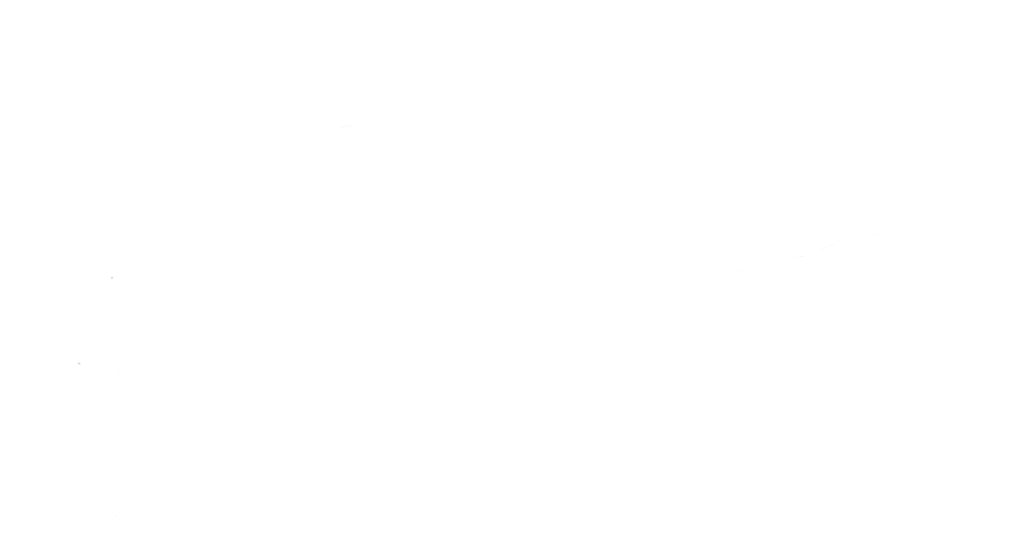 This image has an empty alt attribute; its file name is WHITE-ELEPHANT-1024x543.png